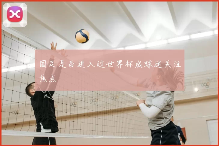 国足是否进入过世界杯成球迷关注焦点