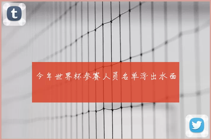 今年世界杯参赛人员名单浮出水面