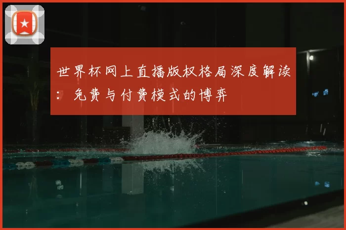 世界杯网上直播版权格局深度解读：免费与付费模式的博弈