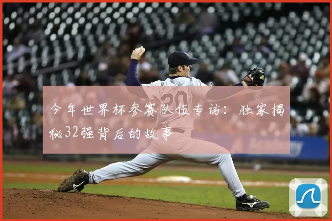 今年世界杯参赛队伍专访：独家揭秘32强背后的故事