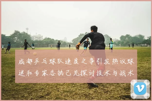 成都乒乓球队速度之争引发热议球迷和专家各执己见探讨技术与战术