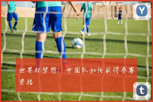 世界杯梦想：中国队如何获得参赛资格