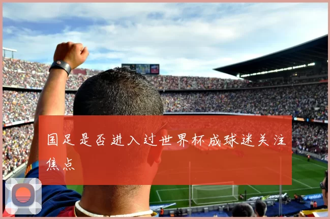 国足是否进入过世界杯成球迷关注焦点
