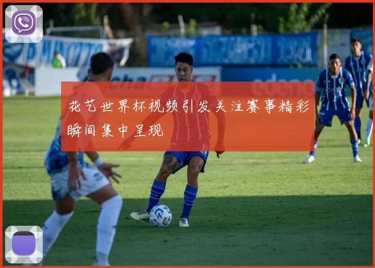 花艺世界杯视频引发关注赛事精彩瞬间集中呈现